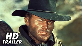 Django előzetes