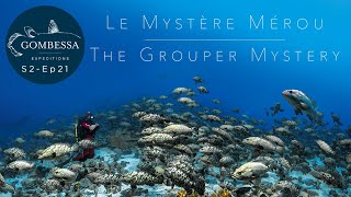 Le Mystère Mérou előzetes