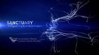 SANCTUARY - Safeguarding Australia's Oceans előzetes