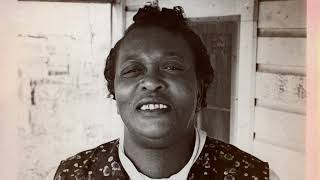 Fannie Lou Hamer’s America előzetes