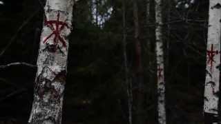 Wicca előzetes
