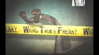 Weird, True & Freaky előzetes