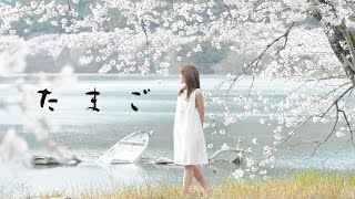 たまご előzetes