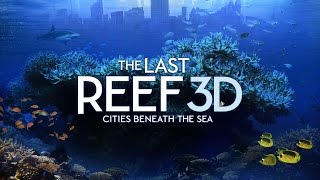 The Last Reef: Cities Beneath the Sea előzetes