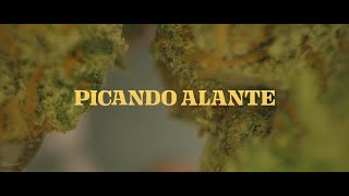Picando alante előzetes