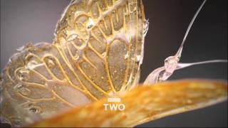 Bake Off Creme de la Creme előzetes