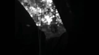 Echo of The Woods előzetes