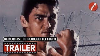 Kickbox harcos 3: Harcra kényszerítve előzetes