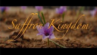 Saffron Kingdom előzetes