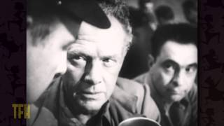 Brute Force előzetes