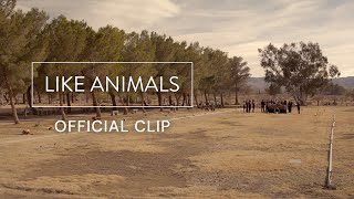 Like Animals előzetes