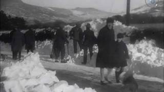 After the Blizzard előzetes