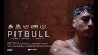 Pitbull előzetes