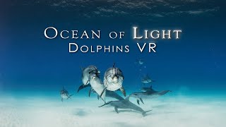 Ocean of Light - Dolphins VR előzetes