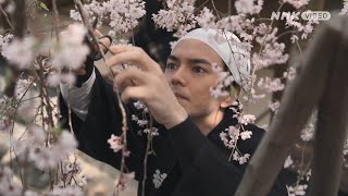 京都人の密かな愉しみBlue修業中 門出の桜 előzetes
