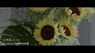 太阳花 előzetes