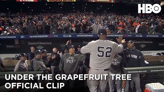 A grapefruit fa alatt: A CC Sabathia sztori előzetes