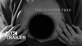 The Juniper Tree előzetes