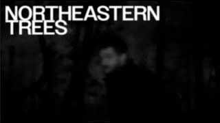 NORTHEASTERN TREES előzetes