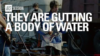 they are gutting a body of water | NTS Session előzetes