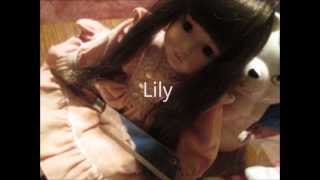 Lily előzetes