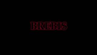 Brebis előzetes
