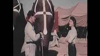 3 Ring Circus előzetes