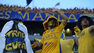 La cancha no tiene la culpa előzetes