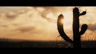 Puscifer: Existential Reckoning - Live At Arcosanti előzetes