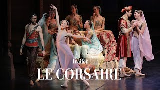 Le Corsaire előzetes