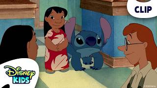 Lilo és Stitch - A csillagkutya előzetes