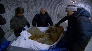 Woolly Mammoth: Secrets from the Ice előzetes