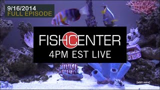 FishCenter Live előzetes