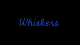 Whiskers előzetes