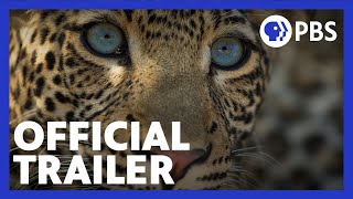 Olimba, Königin der Leoparden előzetes