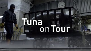 Thunfisch auf Tour előzetes
