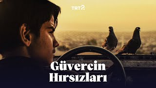Güvercin Terbiyecisi Hammal előzetes