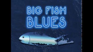 Big Fish Blues előzetes