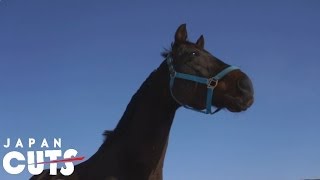 祭の馬 előzetes