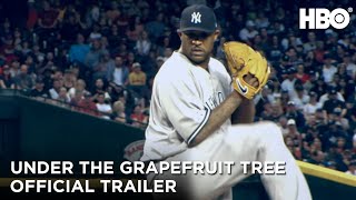 A grapefruit fa alatt: A CC Sabathia sztori előzetes