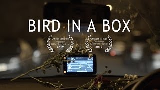 Bird in a Box előzetes
