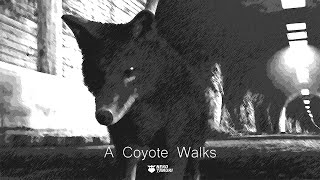 A Coyote Walks előzetes