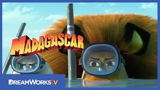 Madagaszkár 3. előzetes