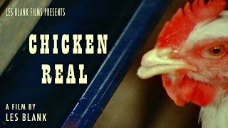 Chicken Real előzetes
