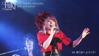 Fuki Fes. 2016 LIVE előzetes