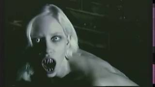 Forest of the Damned előzetes