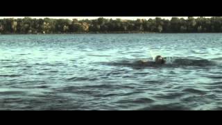 Raiders of the Lost Shark előzetes