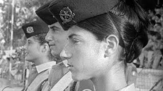 Israel Palestina på svensk TV 1958–1989 előzetes