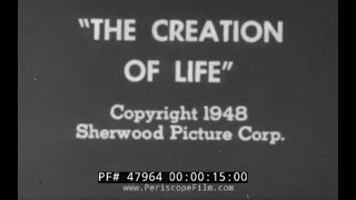 The Creation Of Life előzetes