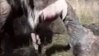 Violent Shit II: Mother Hold My Hand előzetes